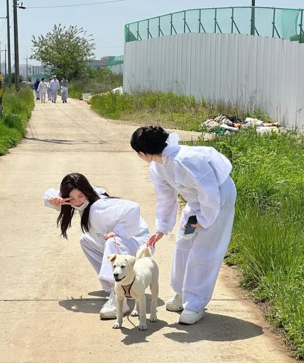 유기견 봉사